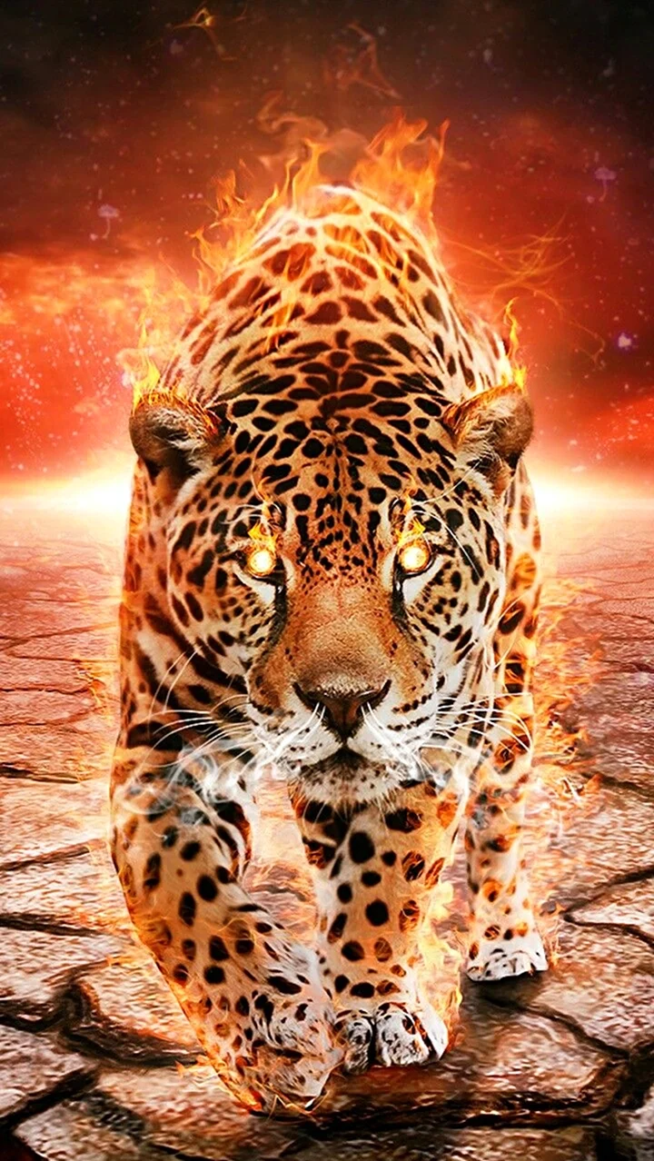 Тигр леопард гепард Ягуар. Красивая картинка