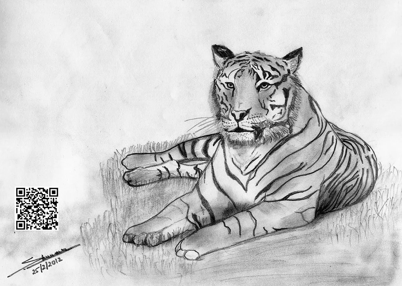 Тигр рисунок карандашом для срисовки. Для срисовки