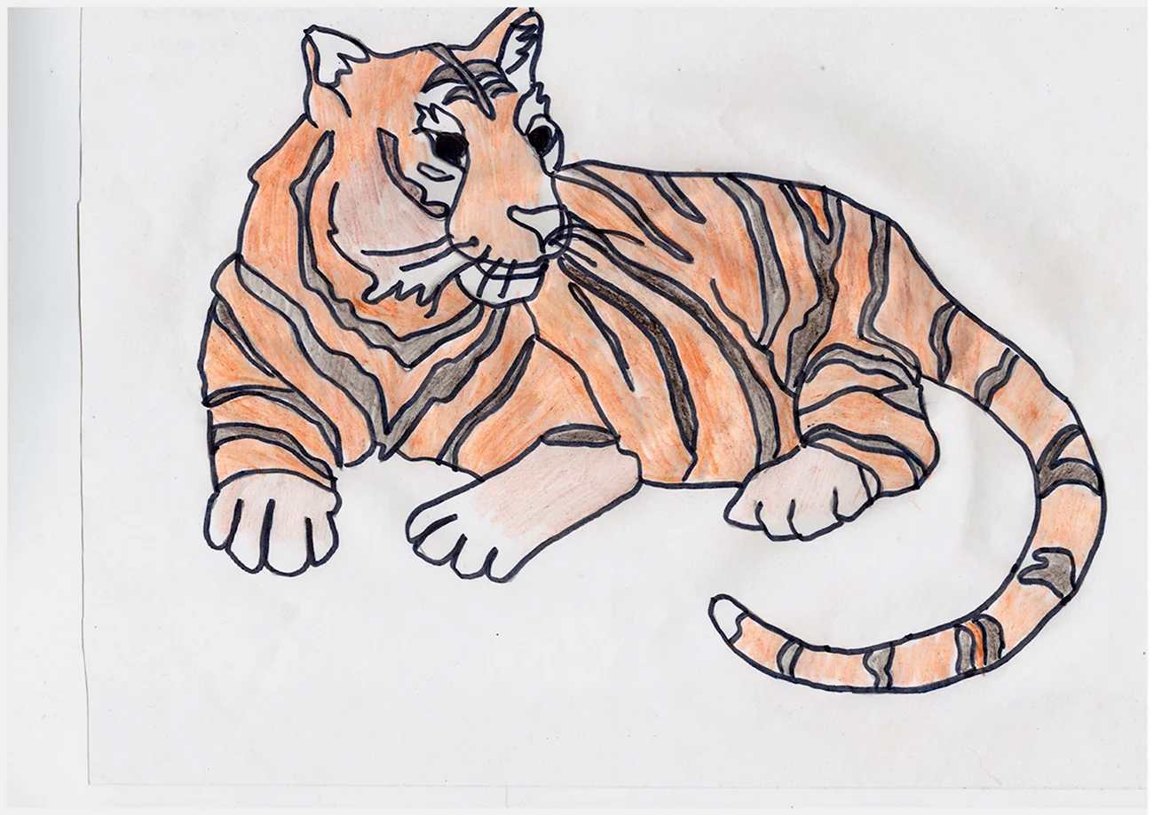 Тигр рисунок легкий. Для срисовки