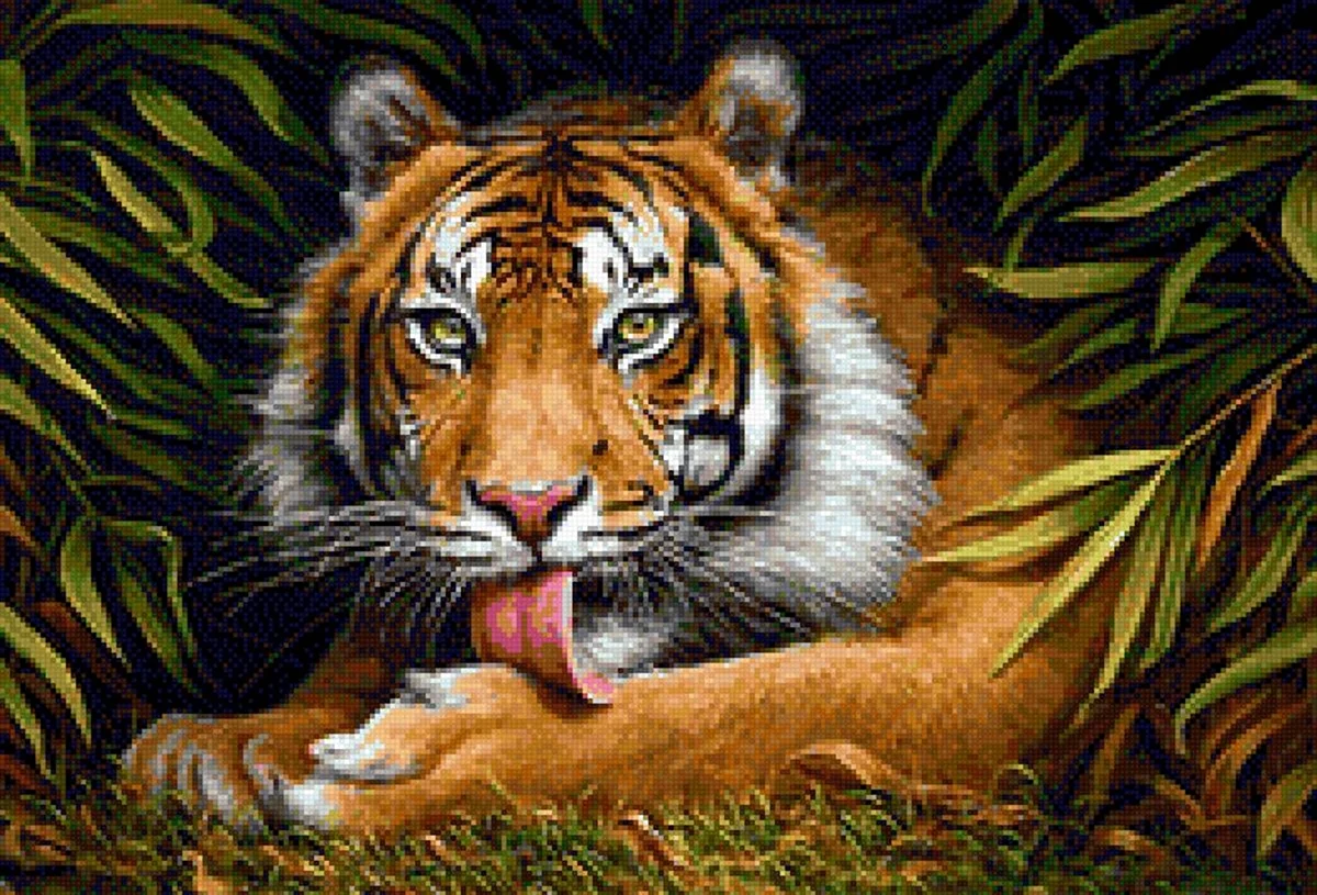 Тигр живопись. Красивое животное