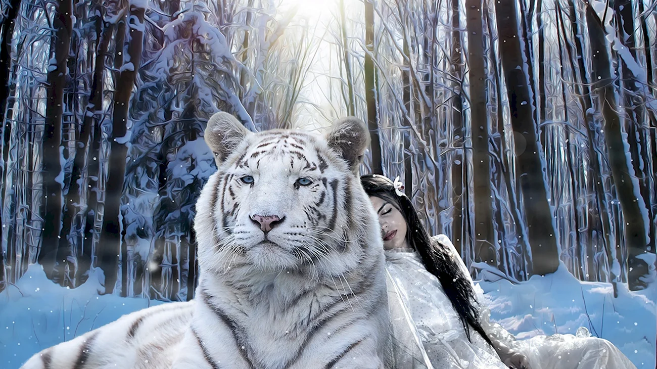Тигр зимой. Картинка