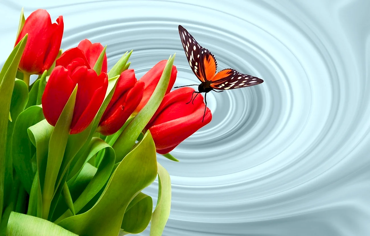Тюльпан и бабочка. Картинка