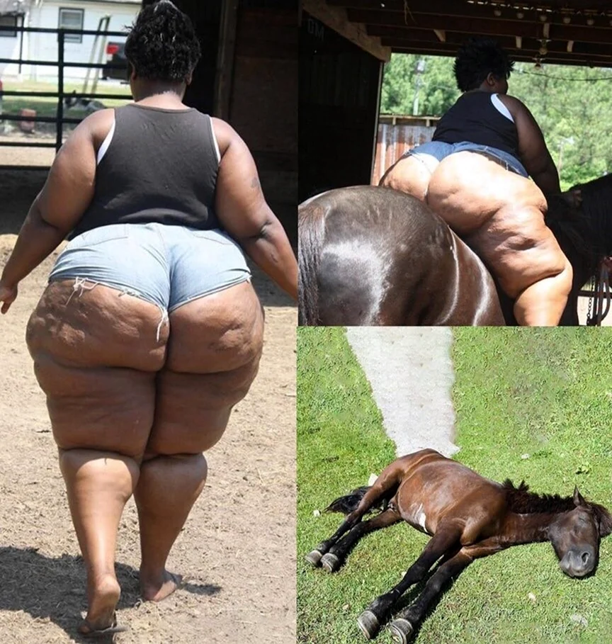 Толстая тетка на лошади. Картинка