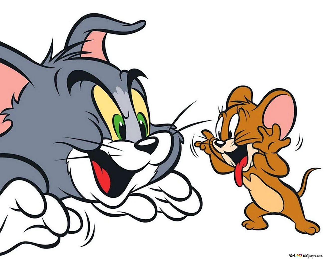 Том и Джерри том на белом фоне. Картинка из мультфильма