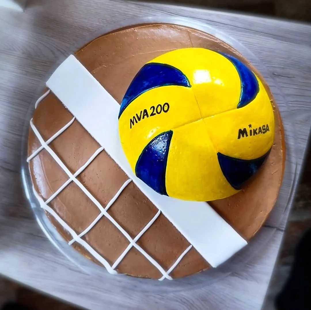Торт Микаса волейбол. Поздравление