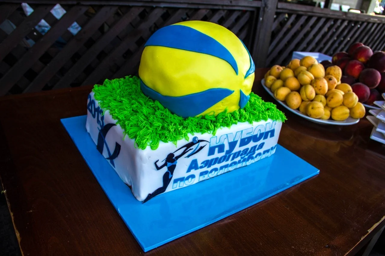 Торт волейбольный мяч. Поздравление