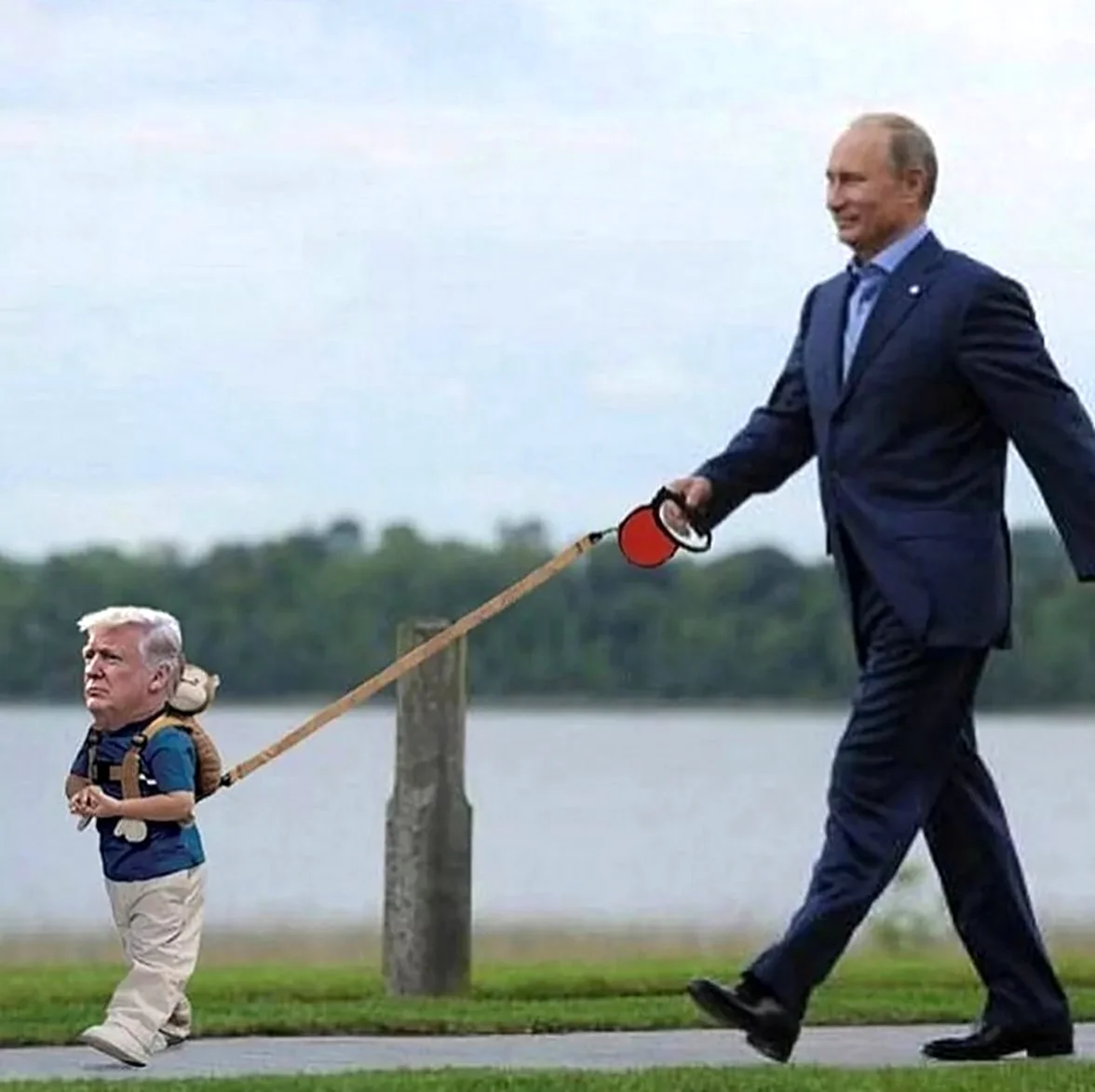 Трамп и карлик Путин. Картинка