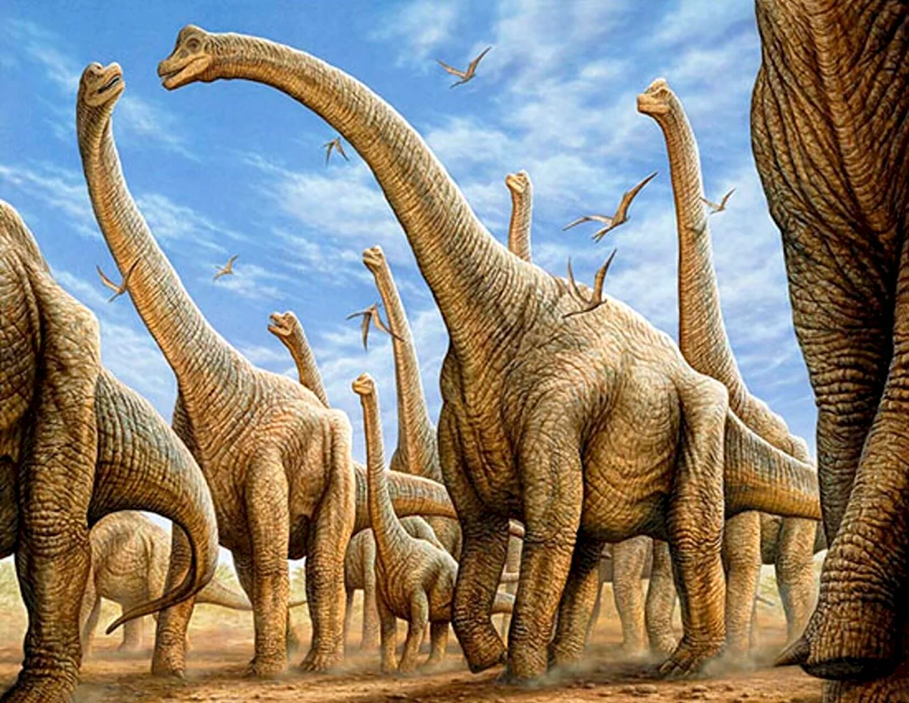 Травоядные динозавры Брахиозавр. Картинка