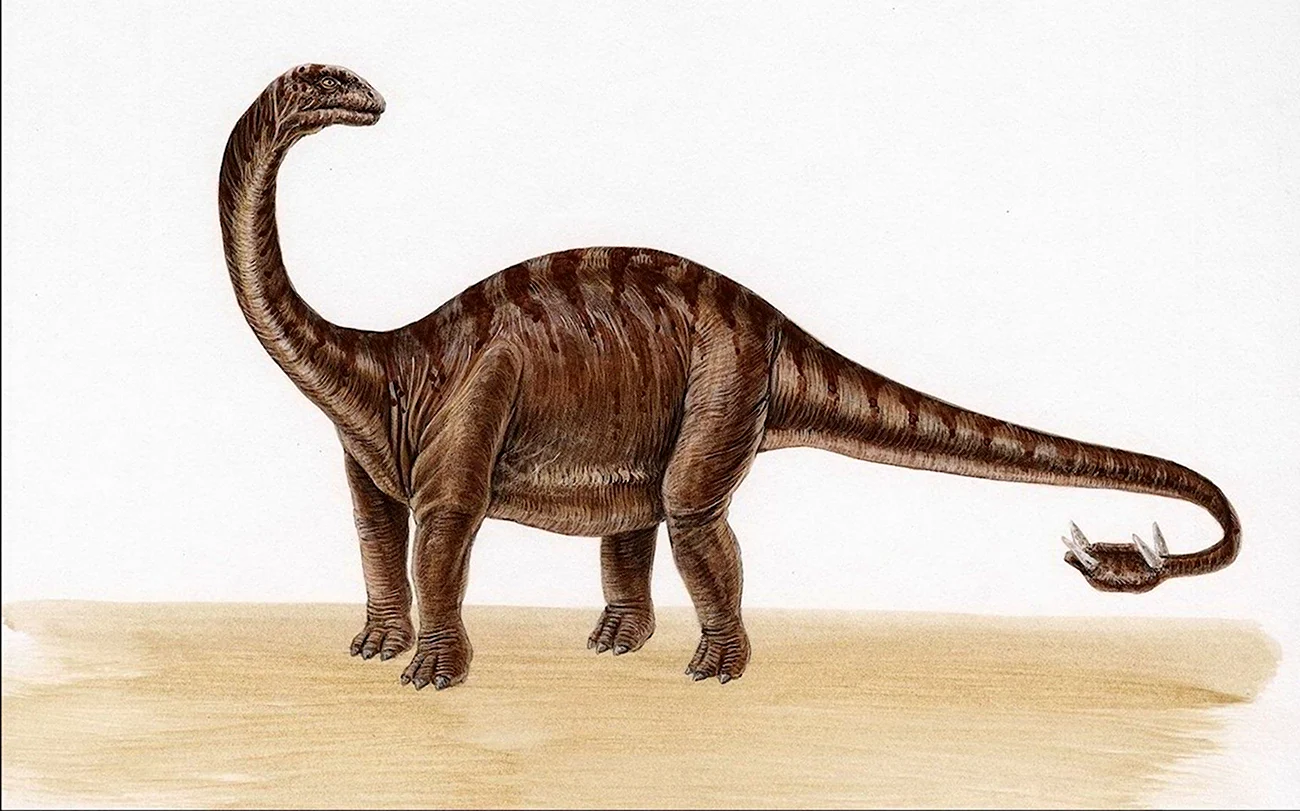 Травоядные динозавры Бронтозавр. Картинка