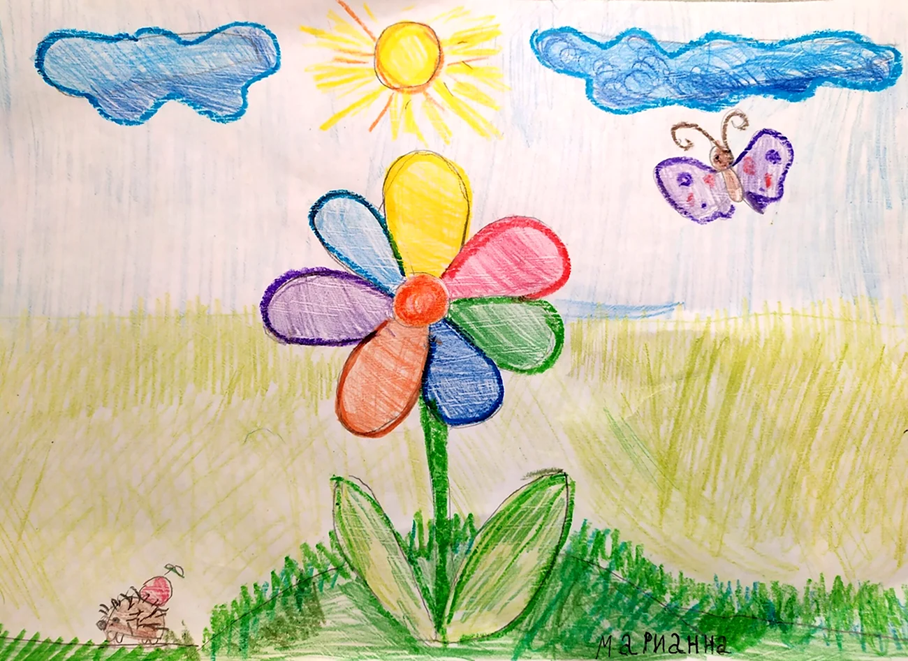 Цветик семицветик рисунок детский. Для срисовки