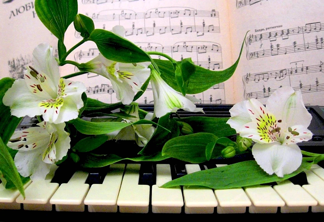 Цветы для музыканта. Открытка с днем рождения