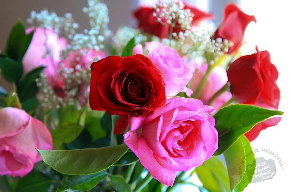 Цветы для Валентины. Открытка с днем рождения
