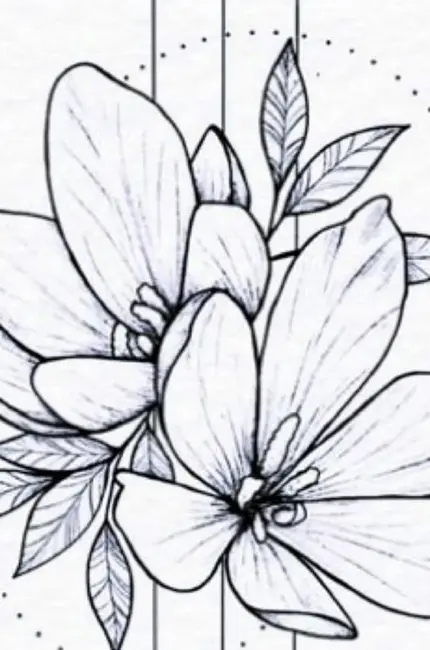 Цветы рисунок карандашом для детей 16. Для срисовки
