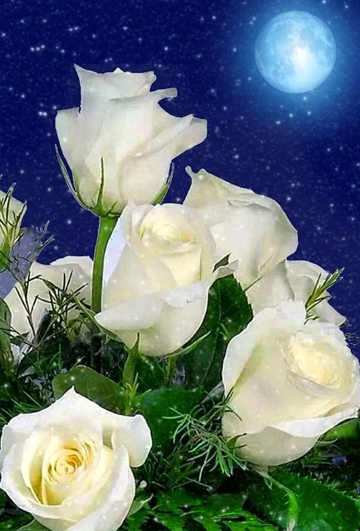 Цветы с пожеланием спокойной ночи. Красивая картинка