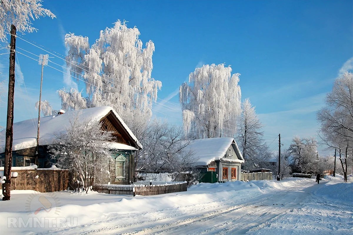 Тульская деревня зимой. Красивая картинка