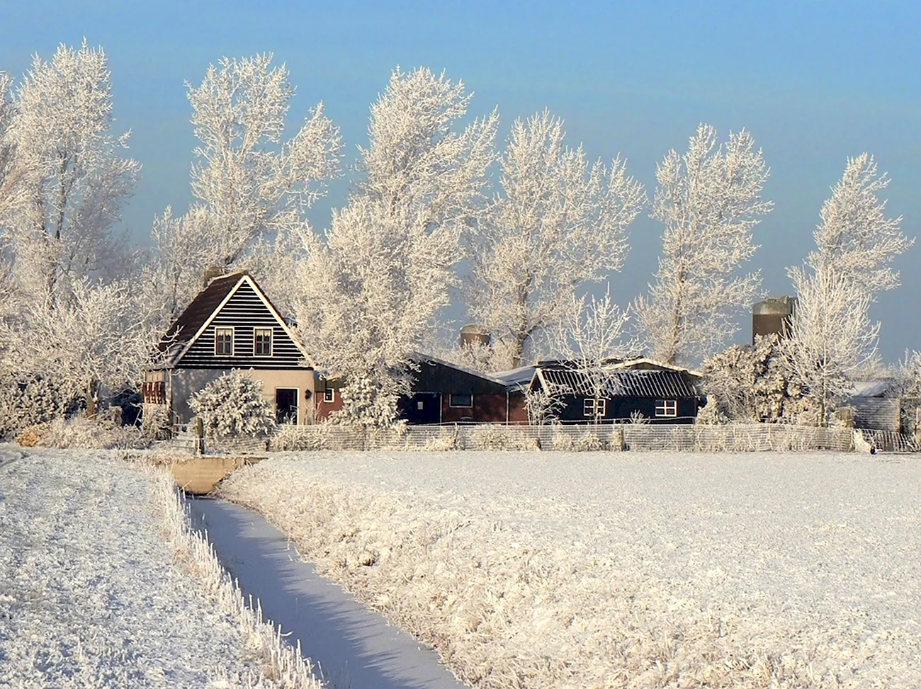 Тульская деревня зимой. Красивая картинка