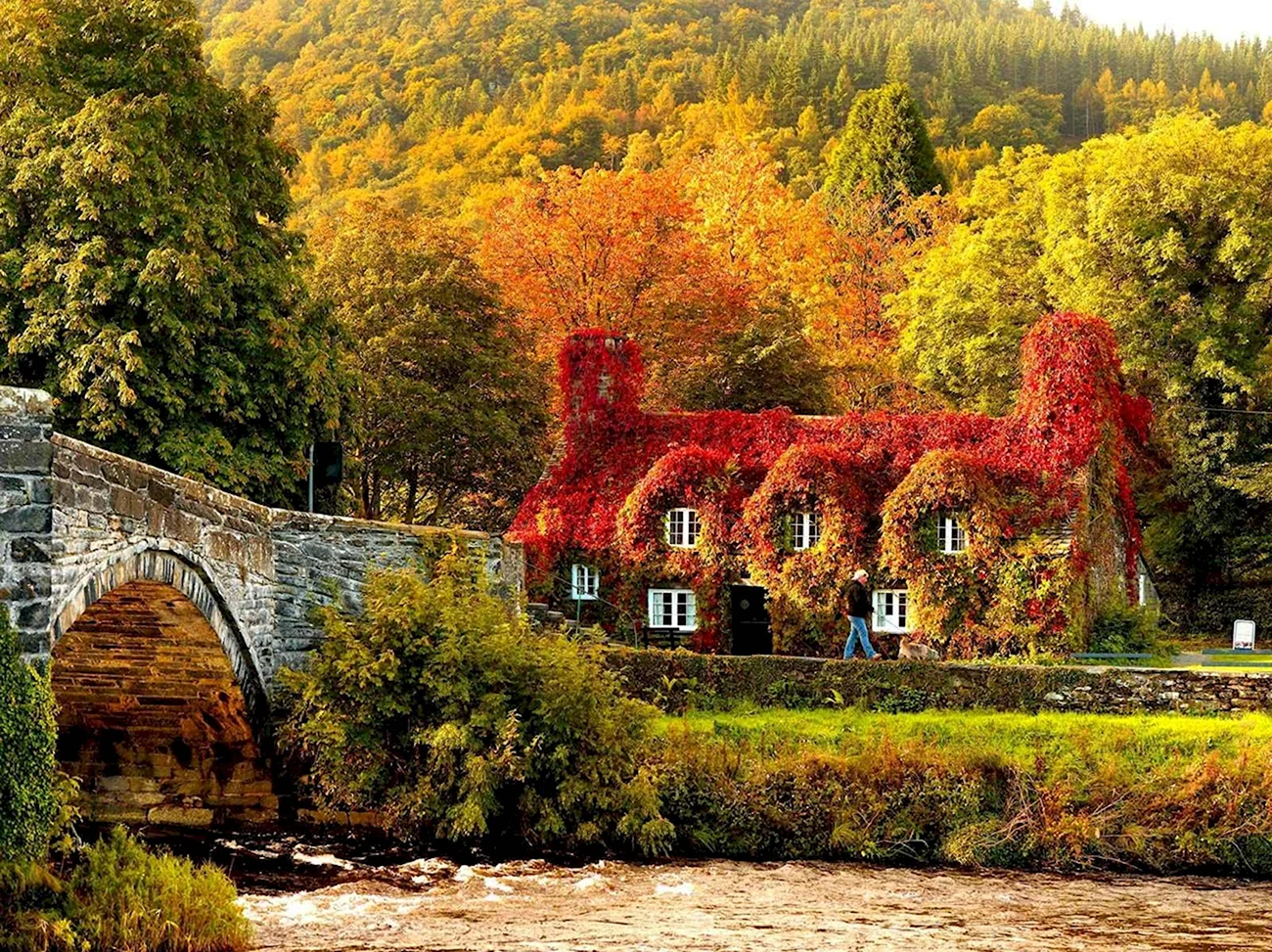 Уиндермир Англия осень. Красивая картинка