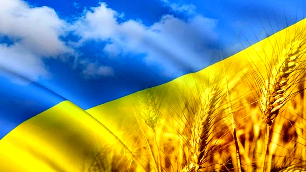 Украинская символика. Поздравление