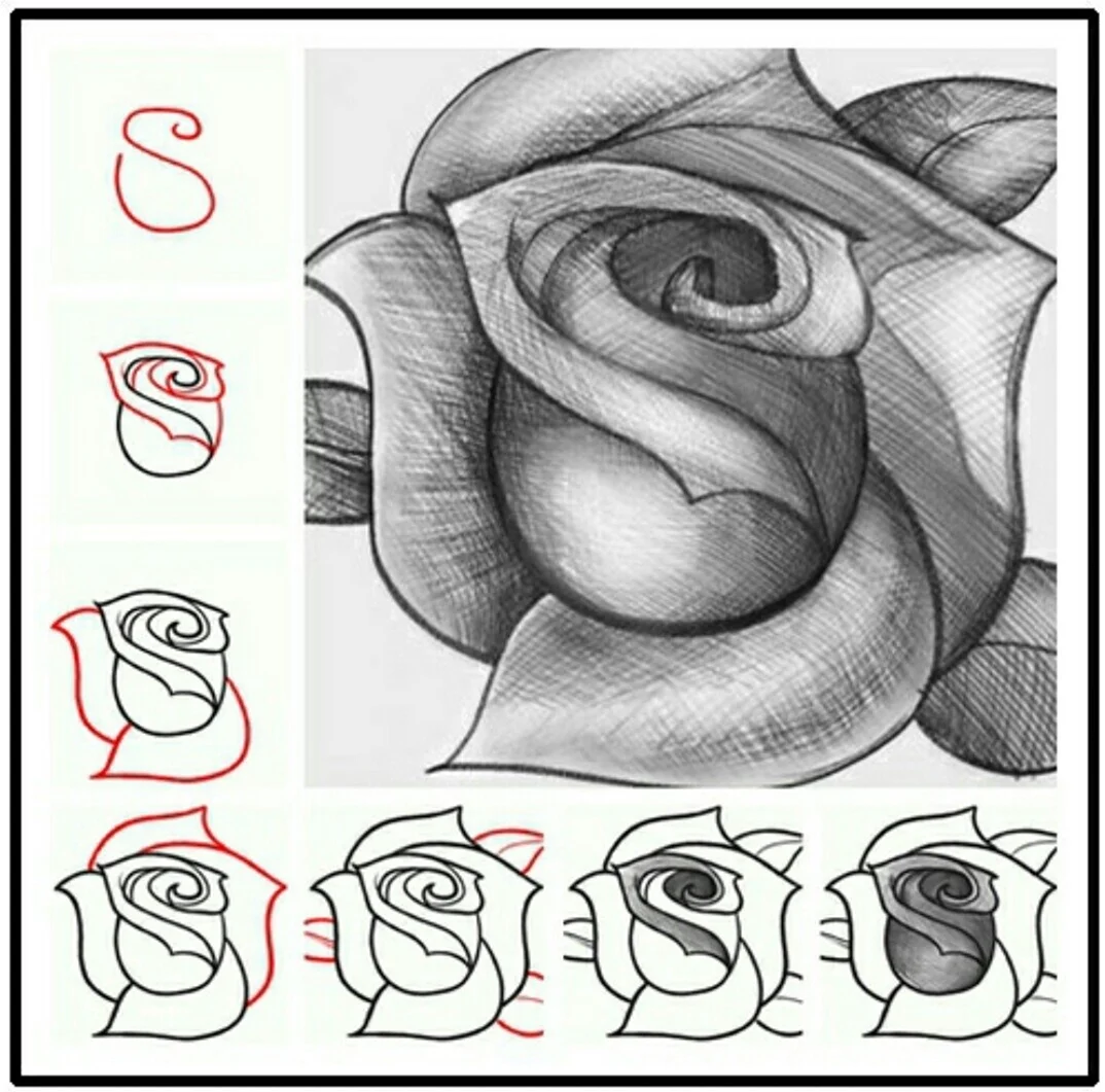 Урок рисования розы карандашом. Для срисовки