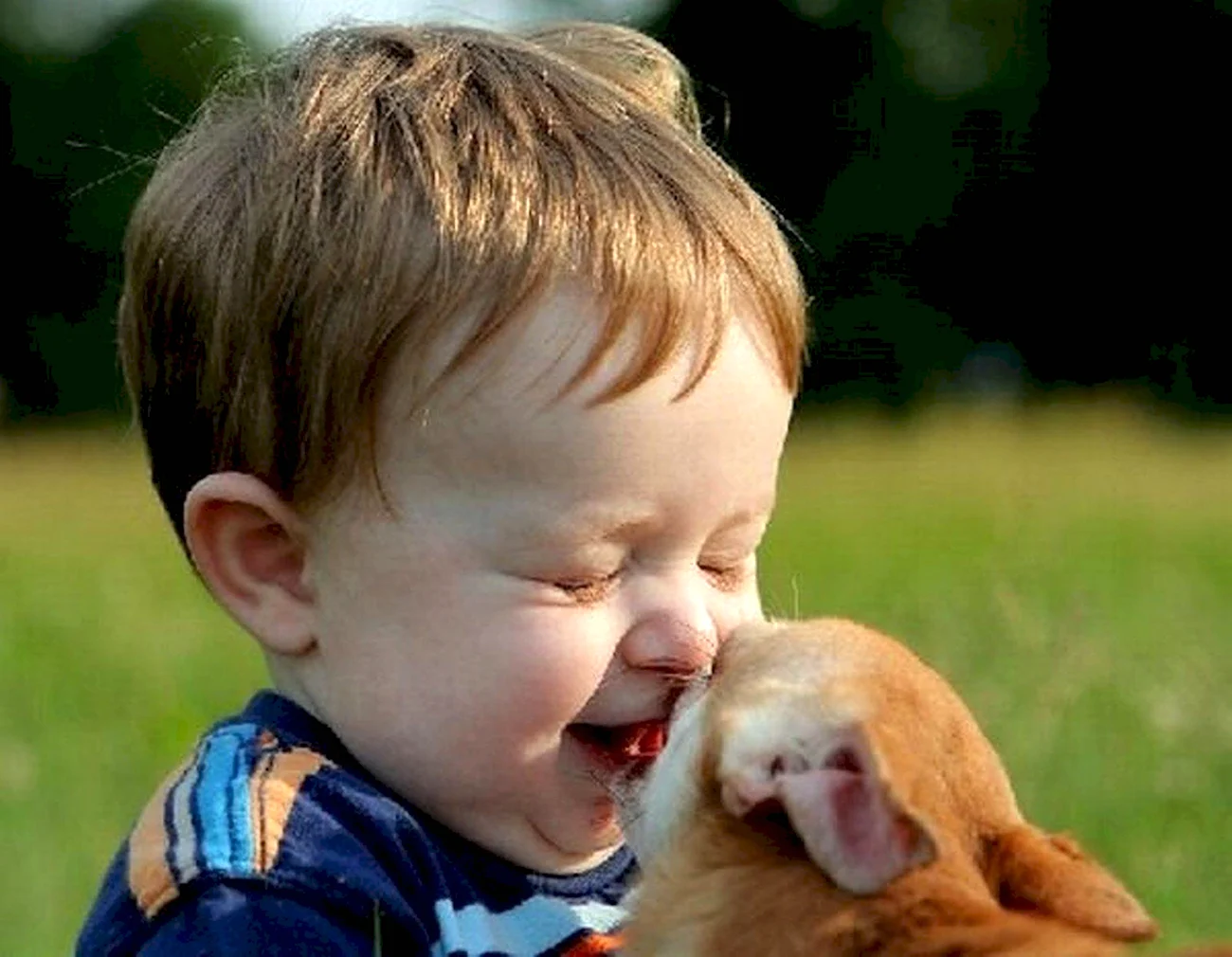Веселые дети с животными. Картинка