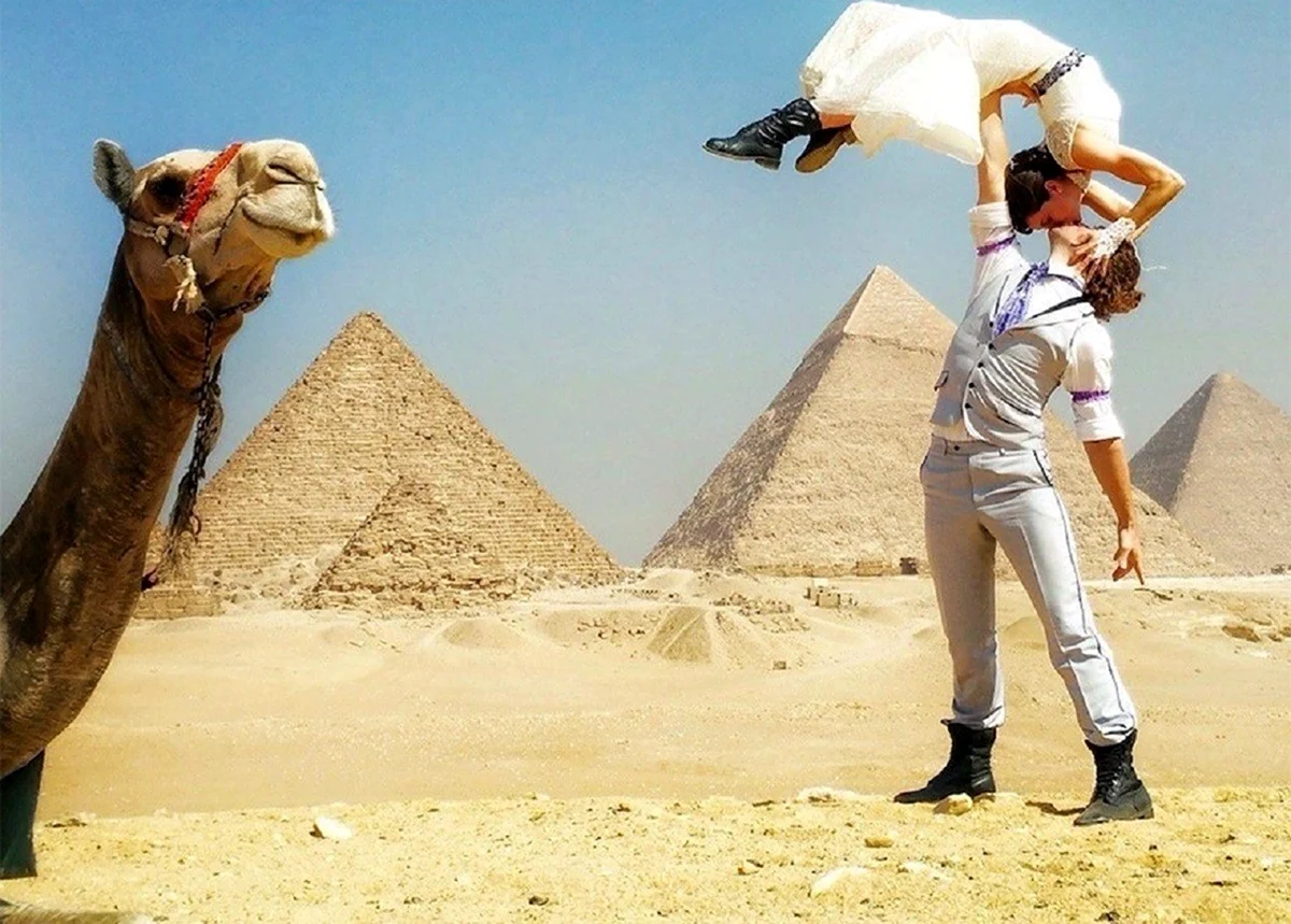 Веселый Египет. Картинка