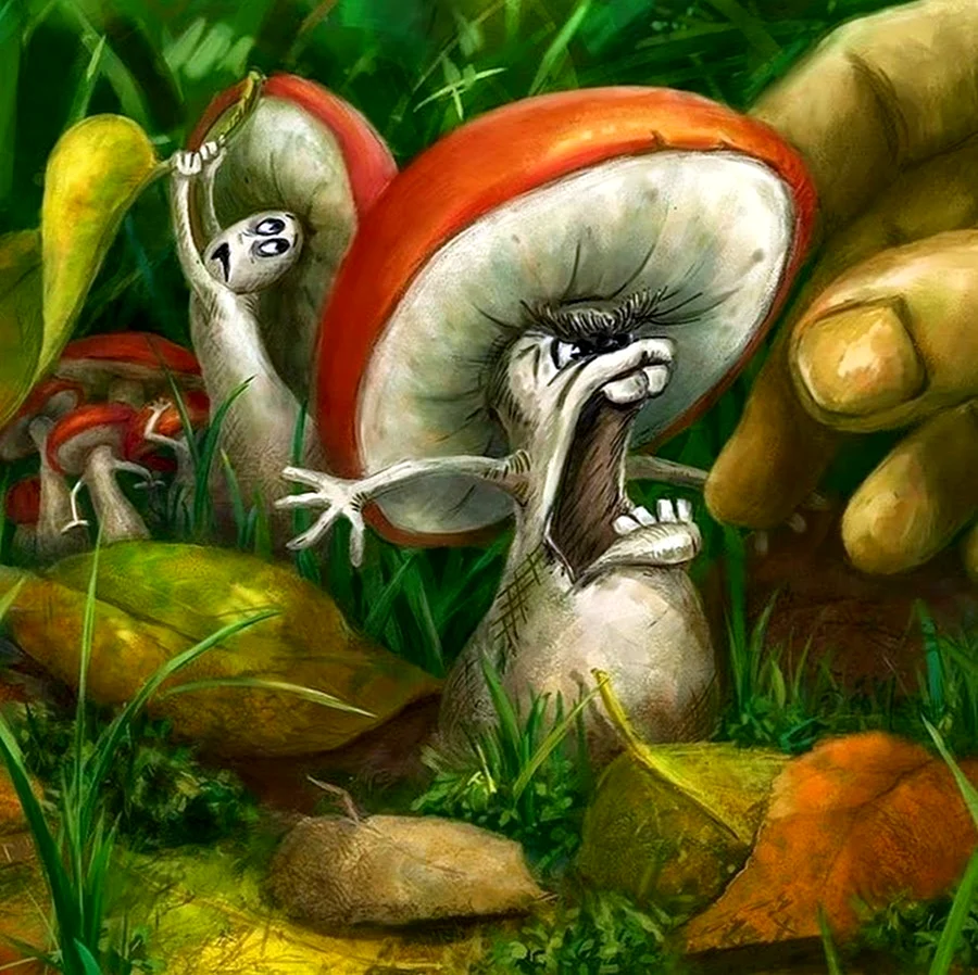 Веселый гриб. Картинка