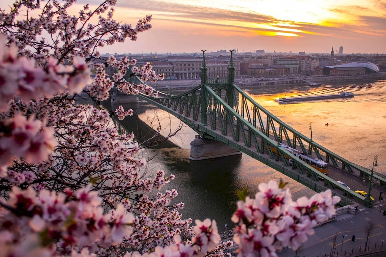 Весенний Будапешт. Картинка