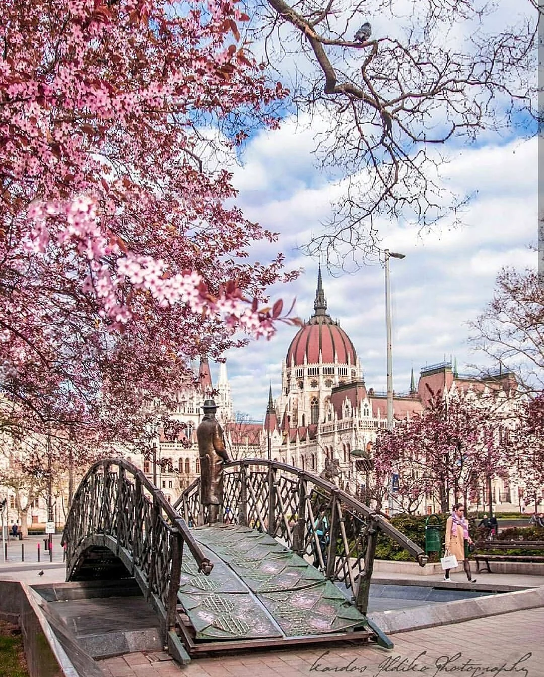 Весенний Будапешт. Картинка