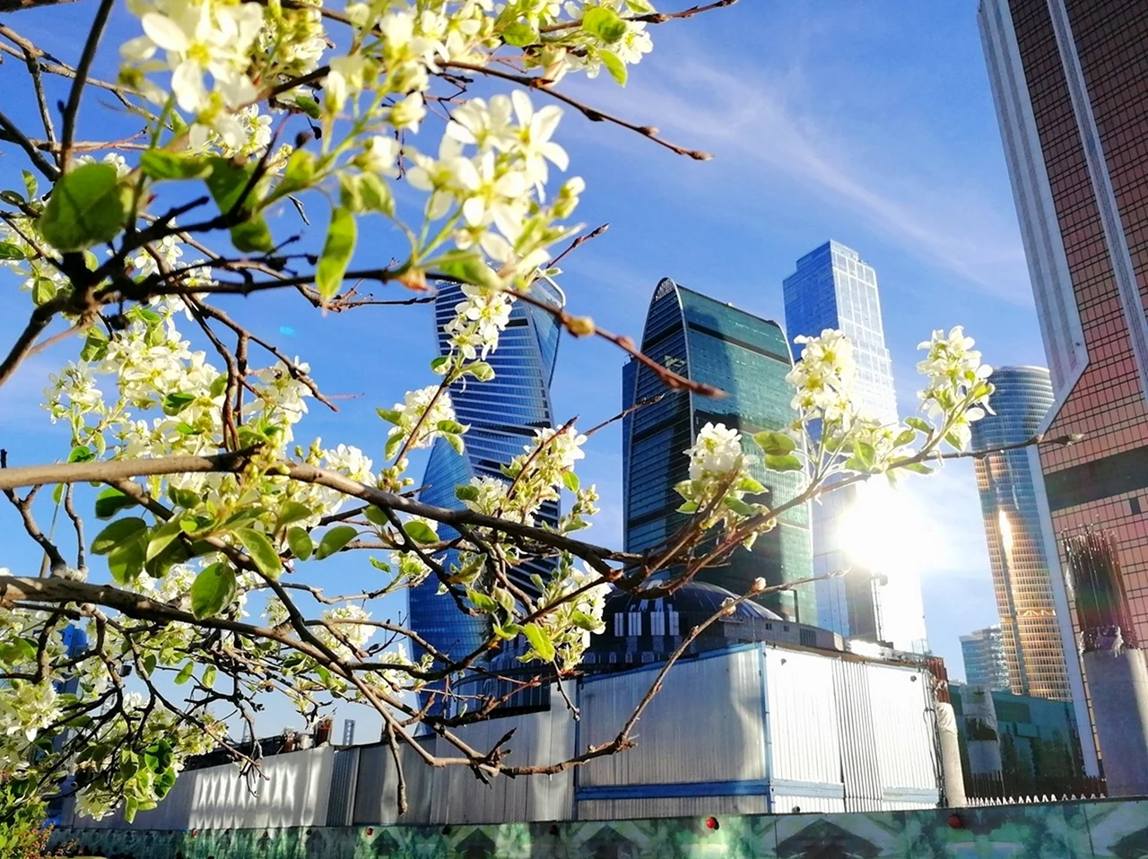 Весна в Москве. Картинка