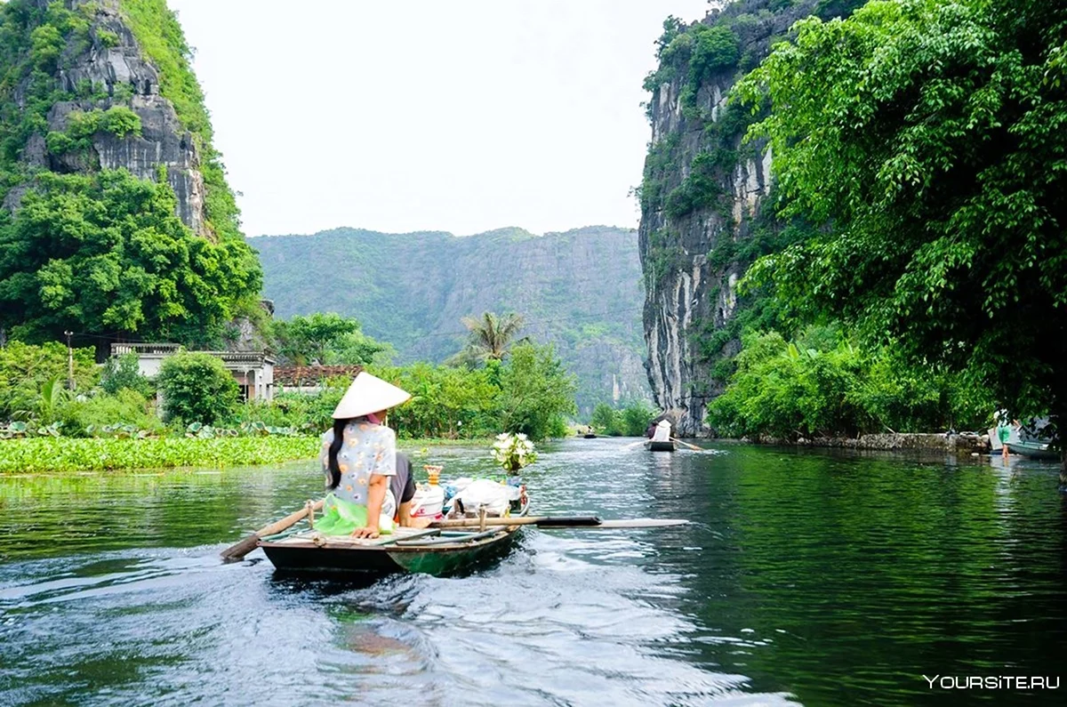 Вьетнам. Картинка