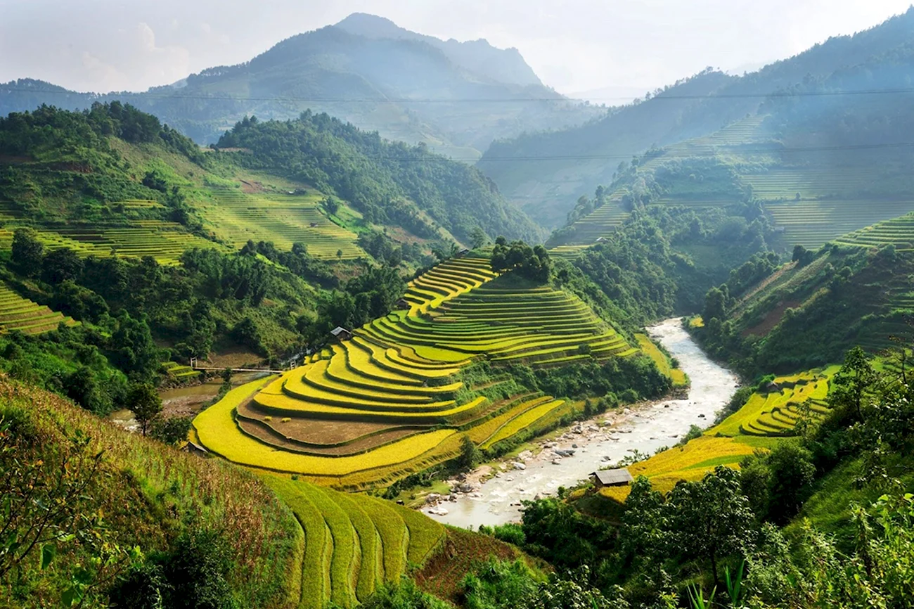 Вьетнам равнина. Картинка