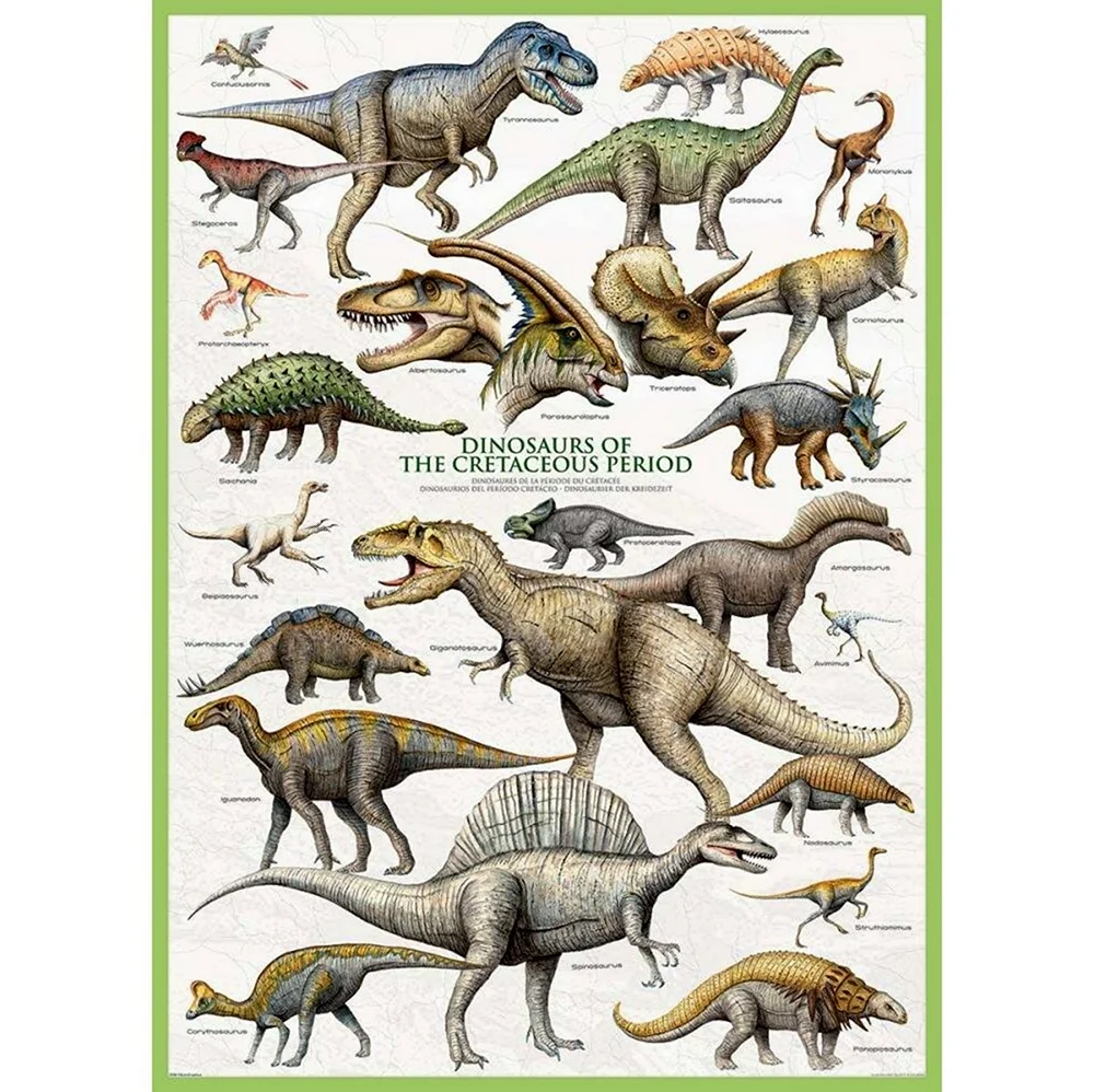 Виды динозавров. Картинка