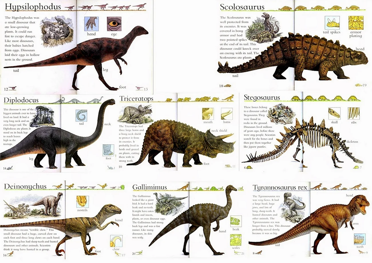 Виды динозавров с названиями. Картинка