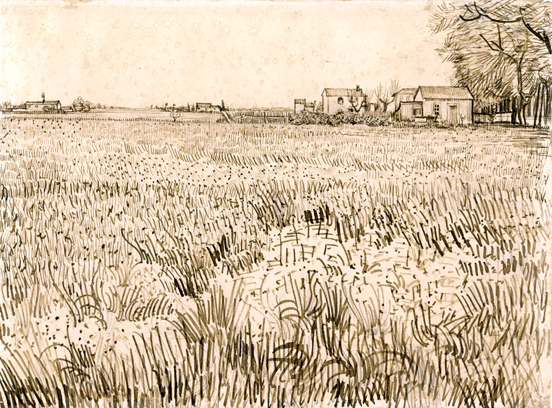 Винсент Ван Гог 1888 поля. Для срисовки