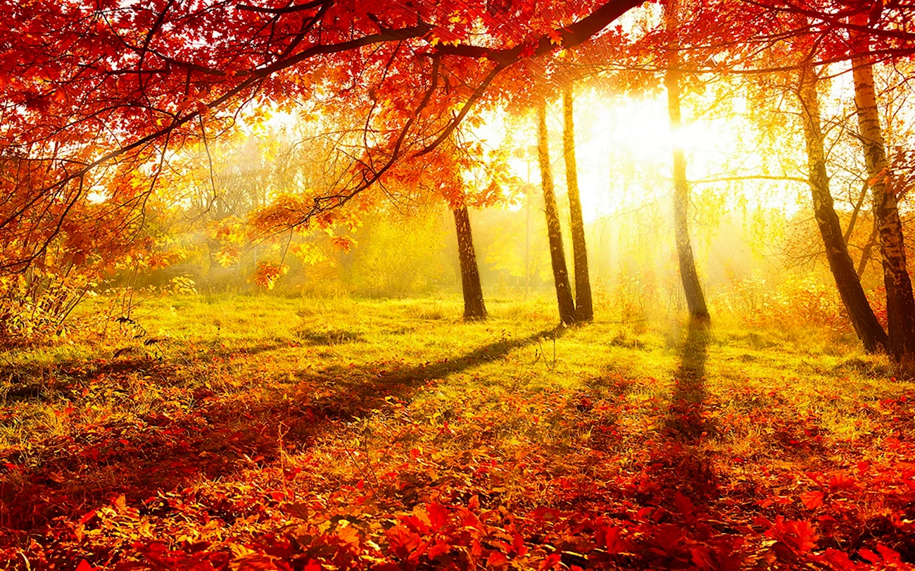 Вивальди времена года осень. Красивая картинка