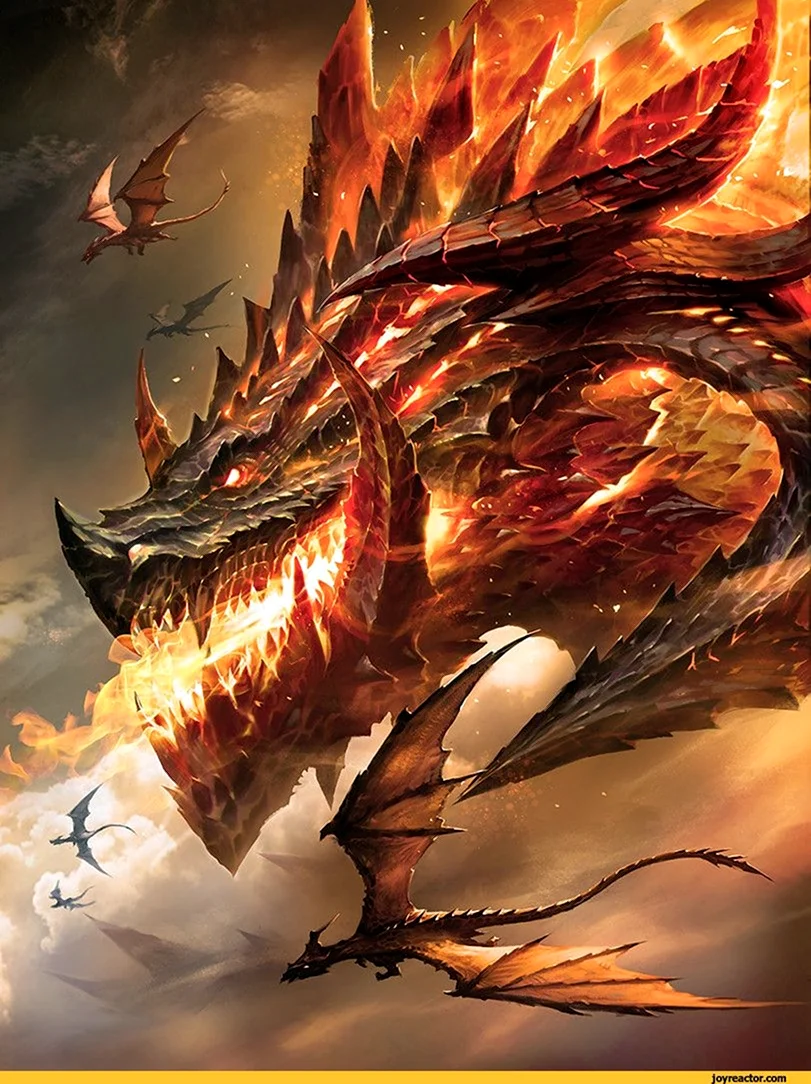 Визерион дракон золотой дракон. Красивые картинки животных
