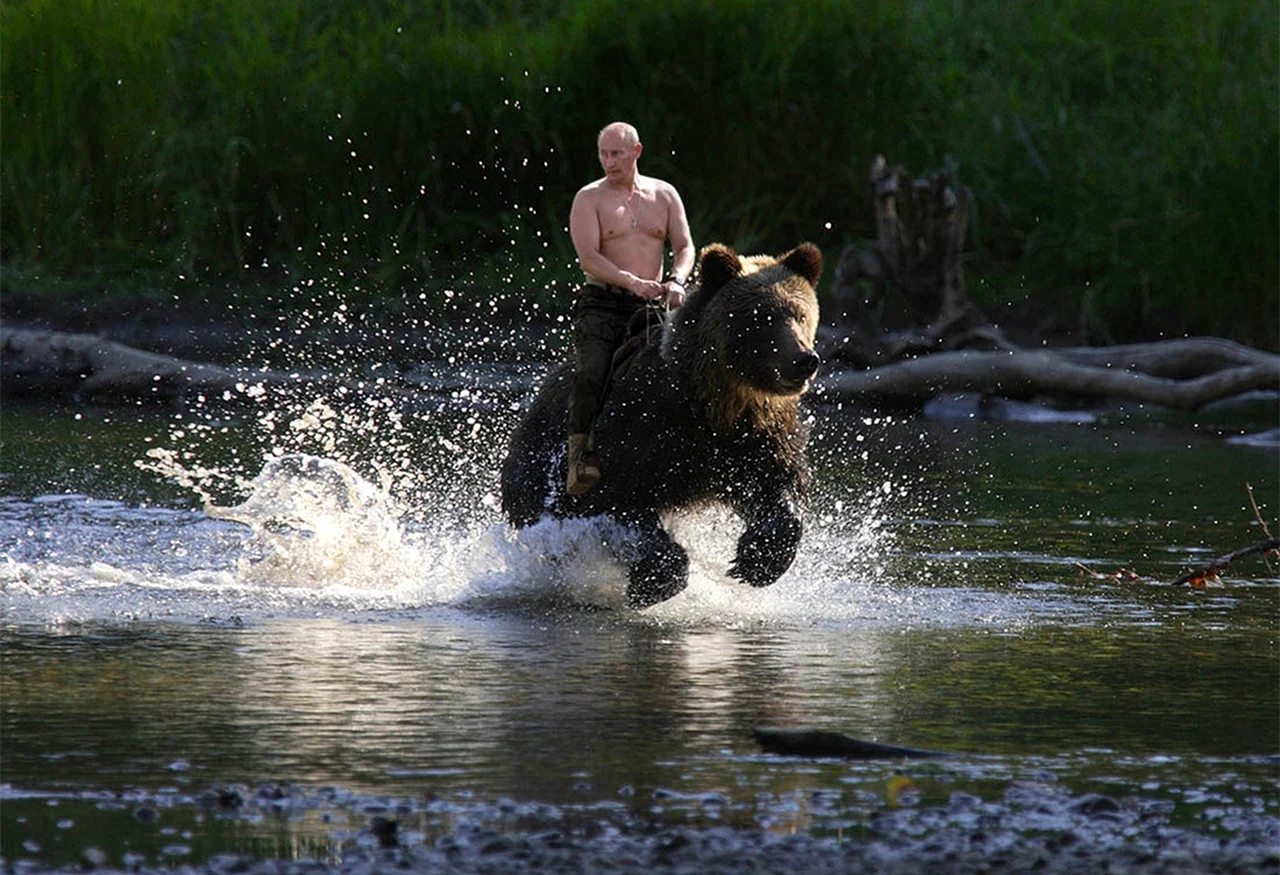 Владимир Путин на медведе. Картинка