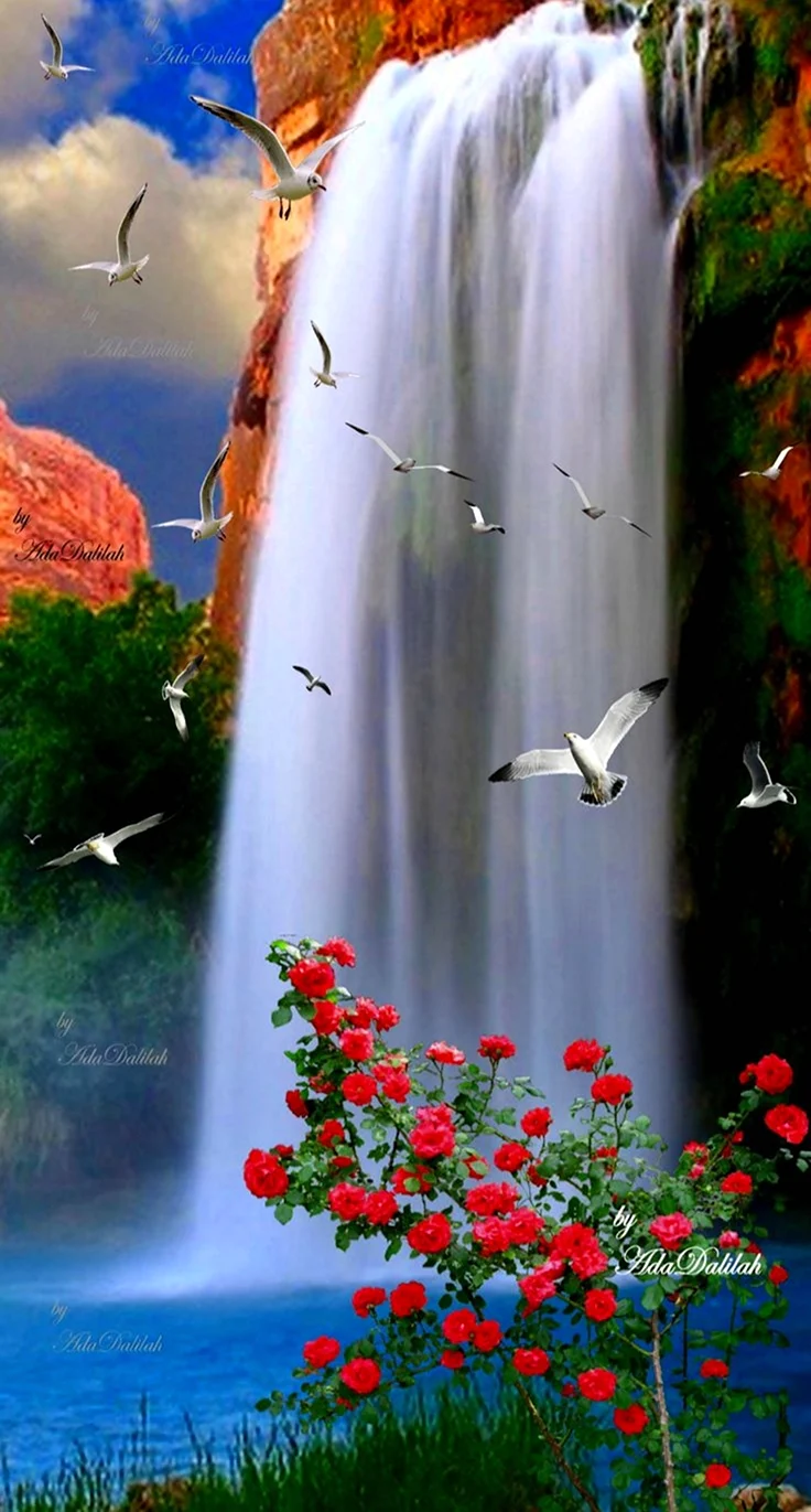 Водопад и птицы. Красивая картинка