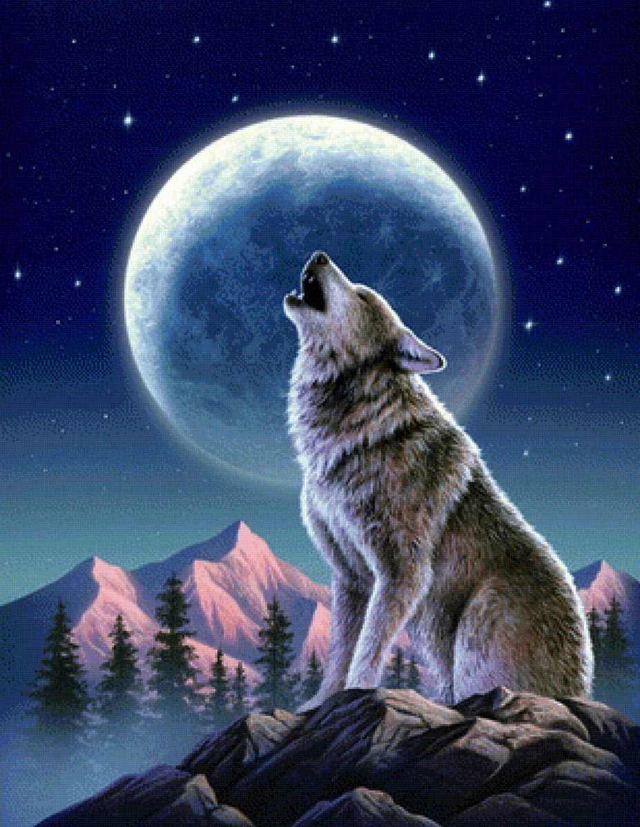 Волк. Красивая картинка