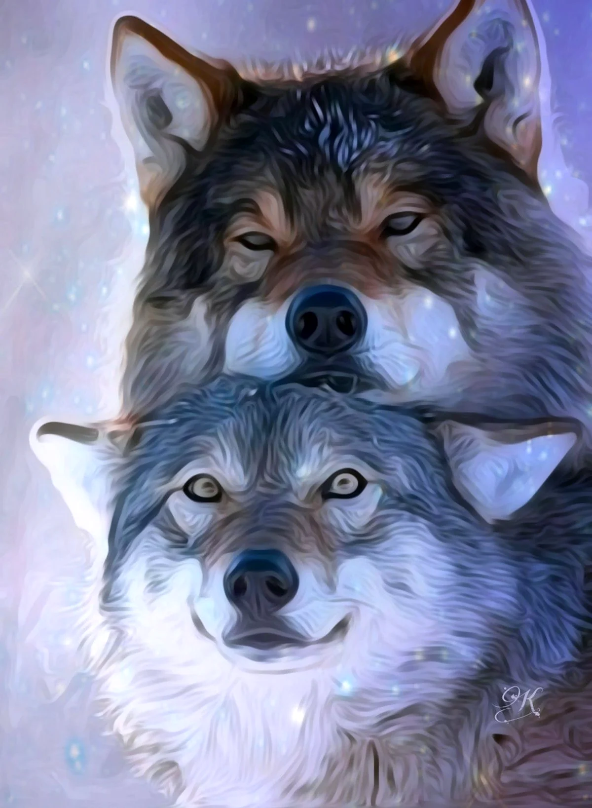 Волк и волчица. Красивое животное