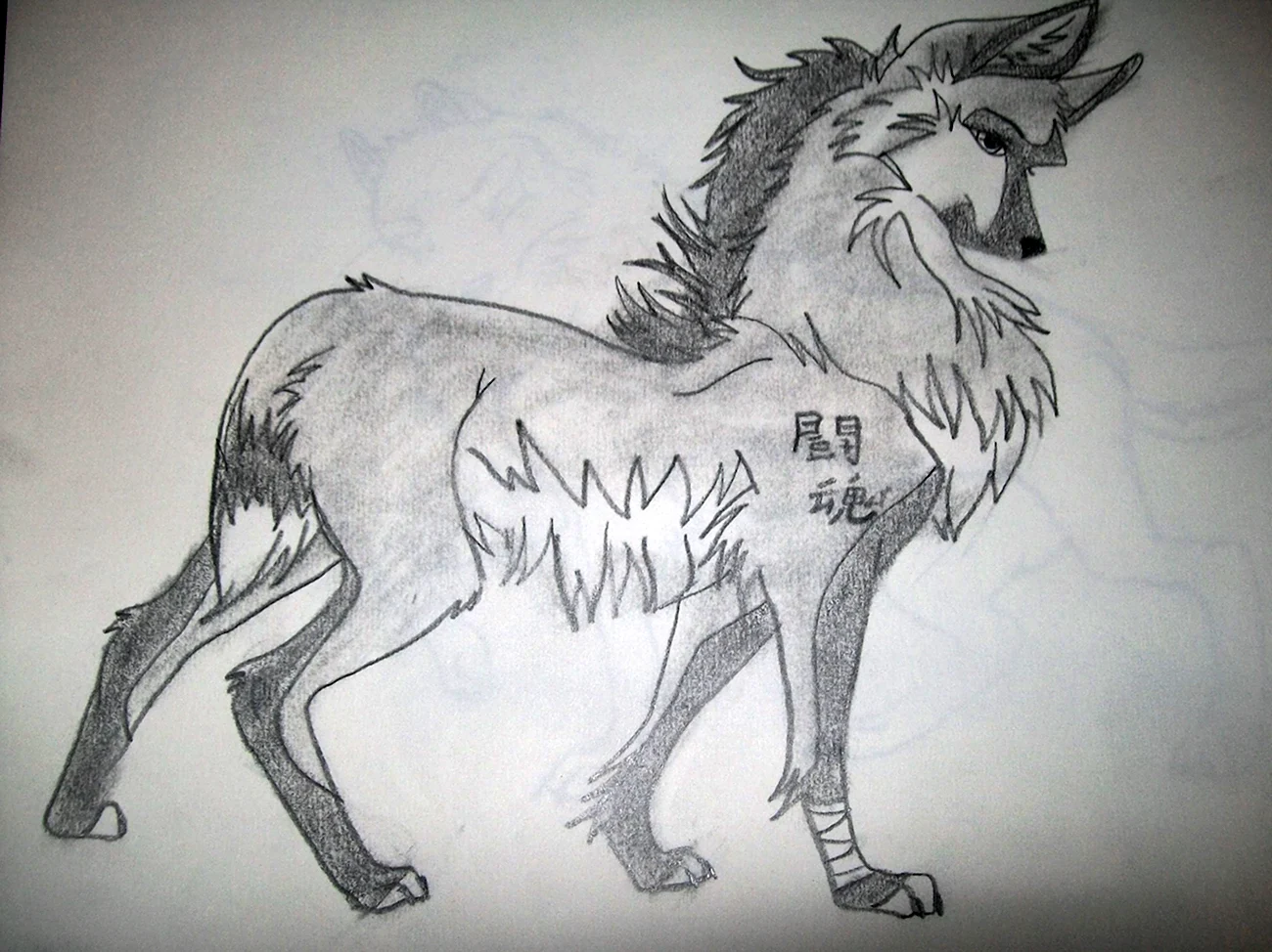 Волк карандашом. Для срисовки