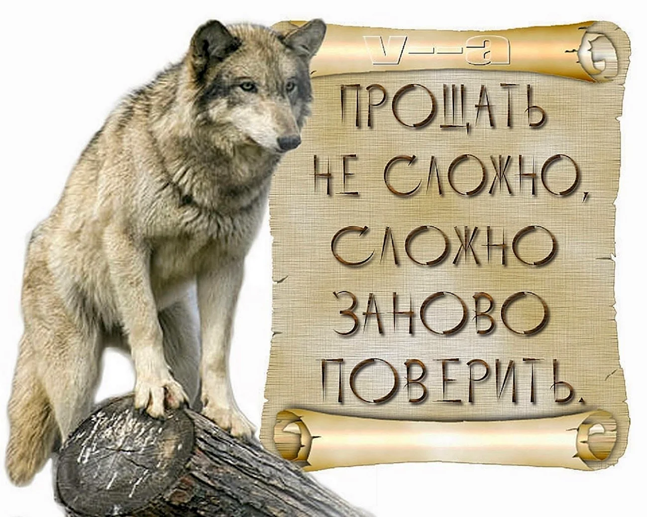 Волк с надписью. Картинка