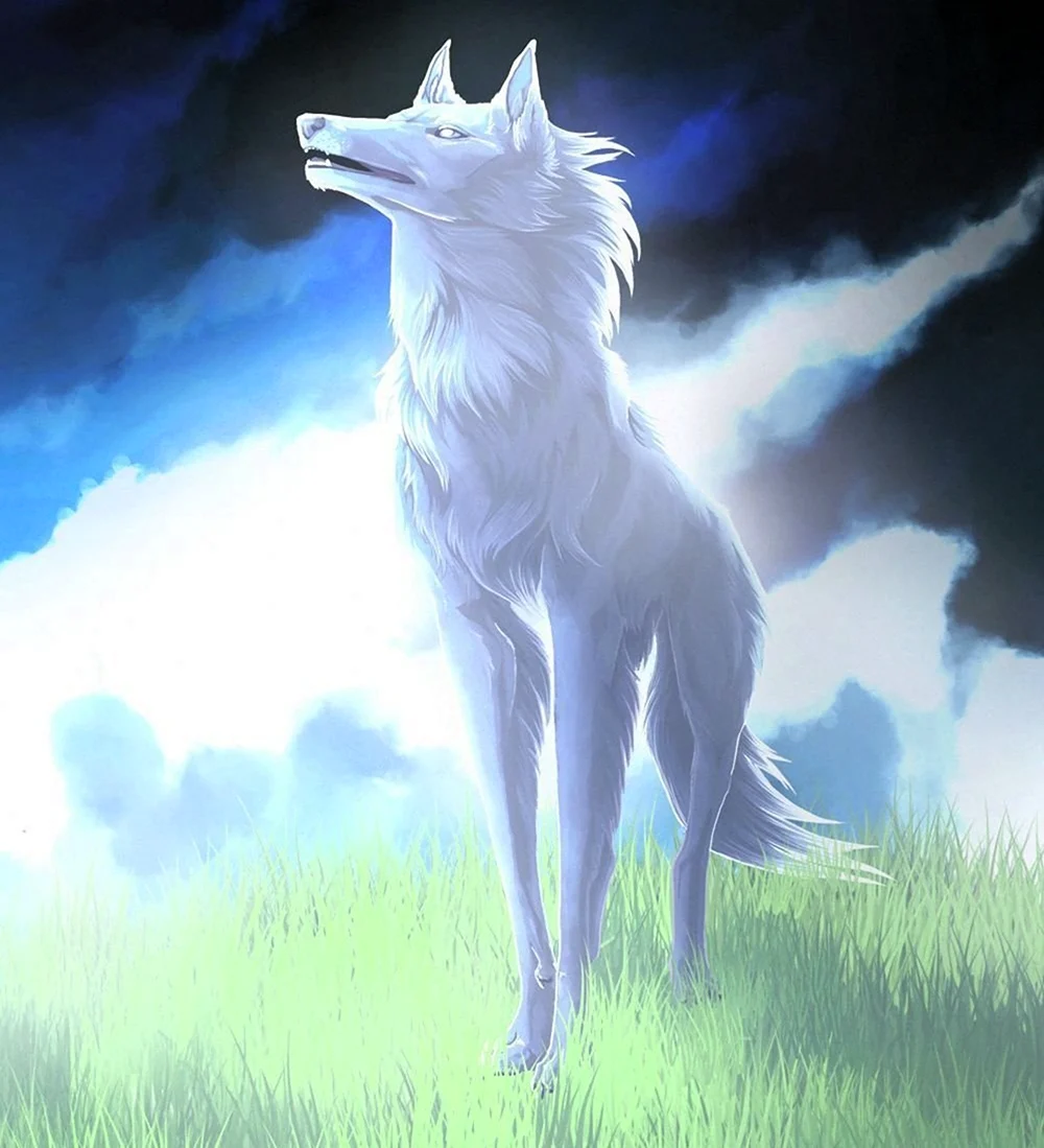 Волки Воители белый волк. Картинка
