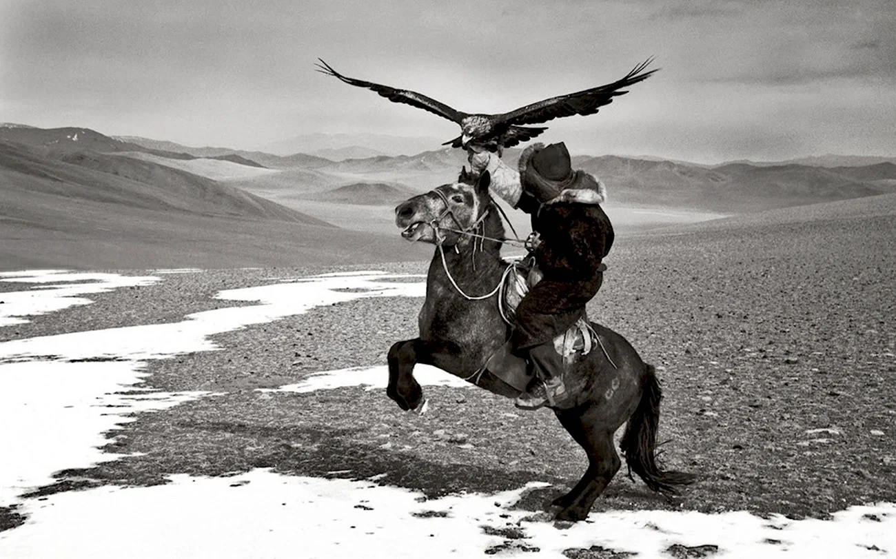 Всадник Монгол. Поздравление