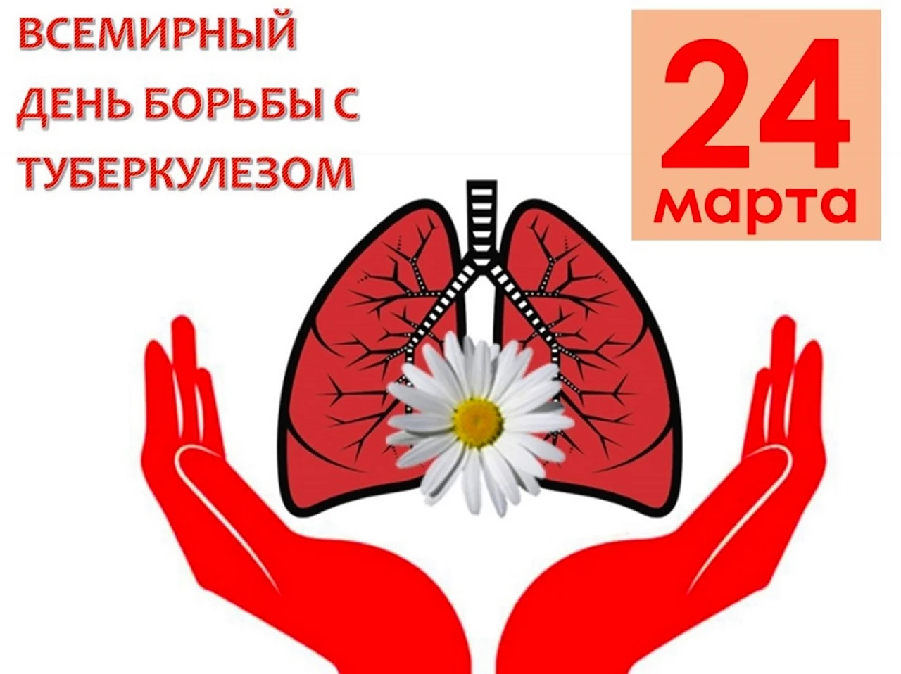 Всемирный день борьбы с туберкулезом. Поздравление