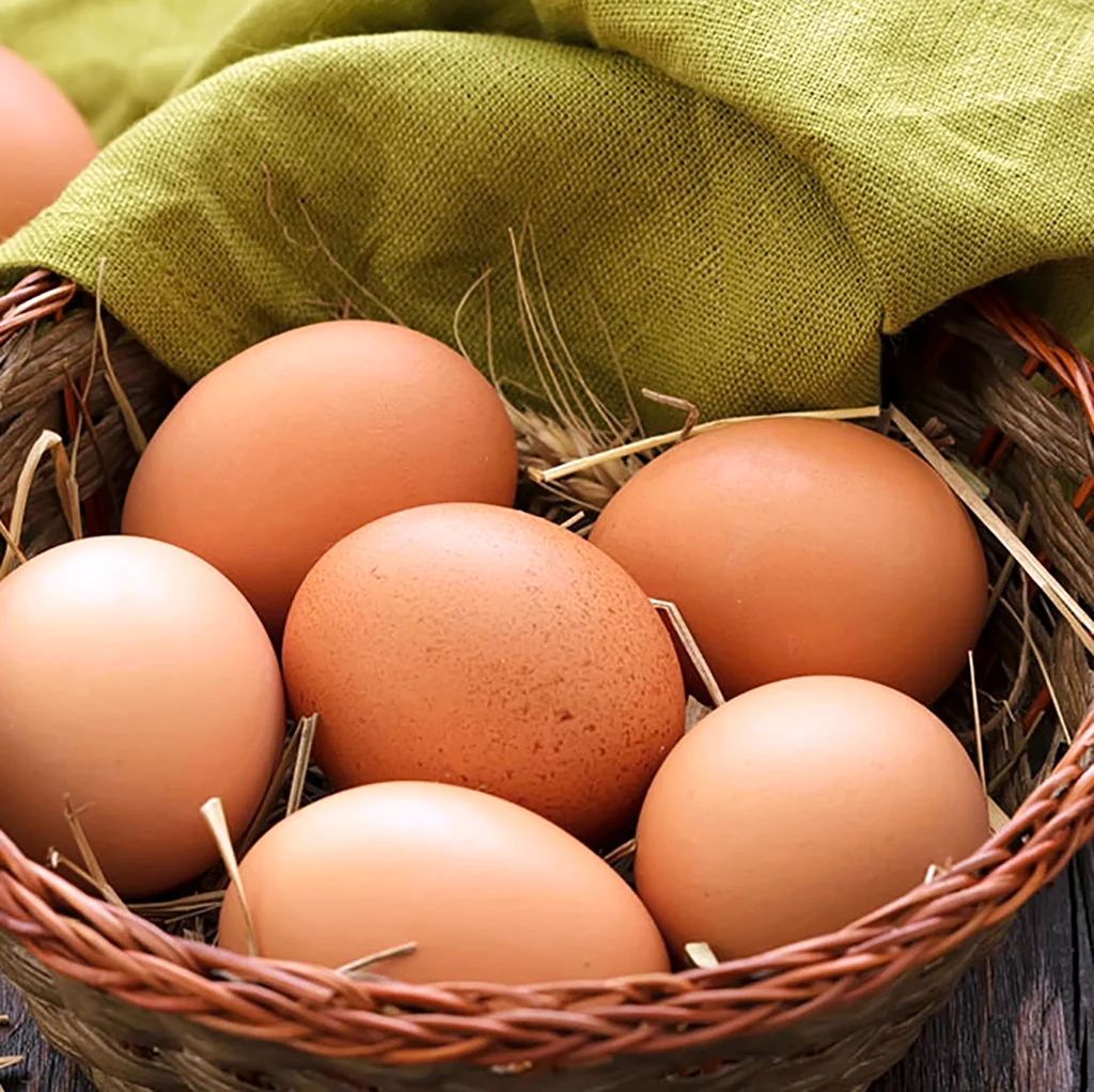 Всемирный день яйца World Egg Day. Поздравление