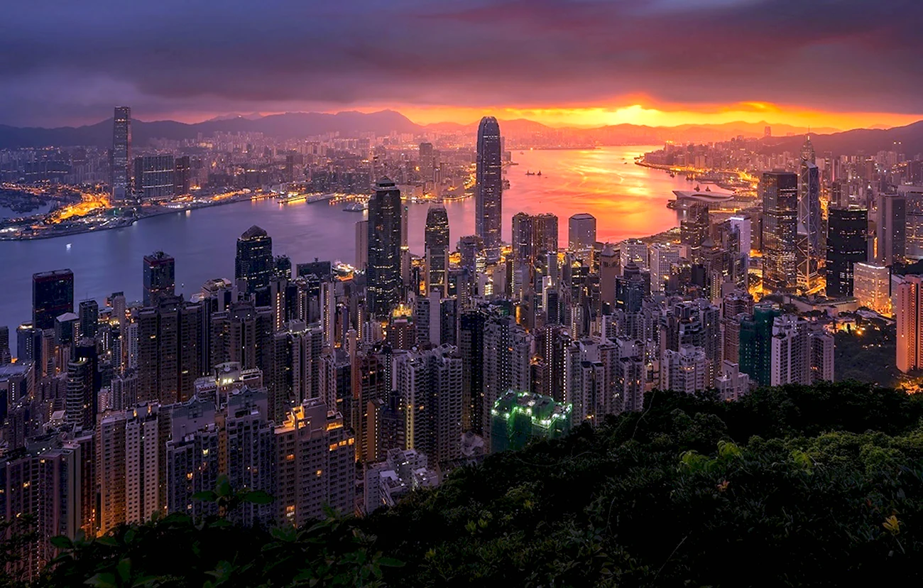 Высотки Гонконга. Картинка
