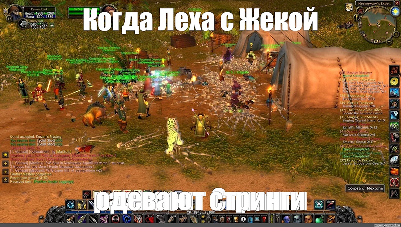 World of Warcraft Мем. Мем