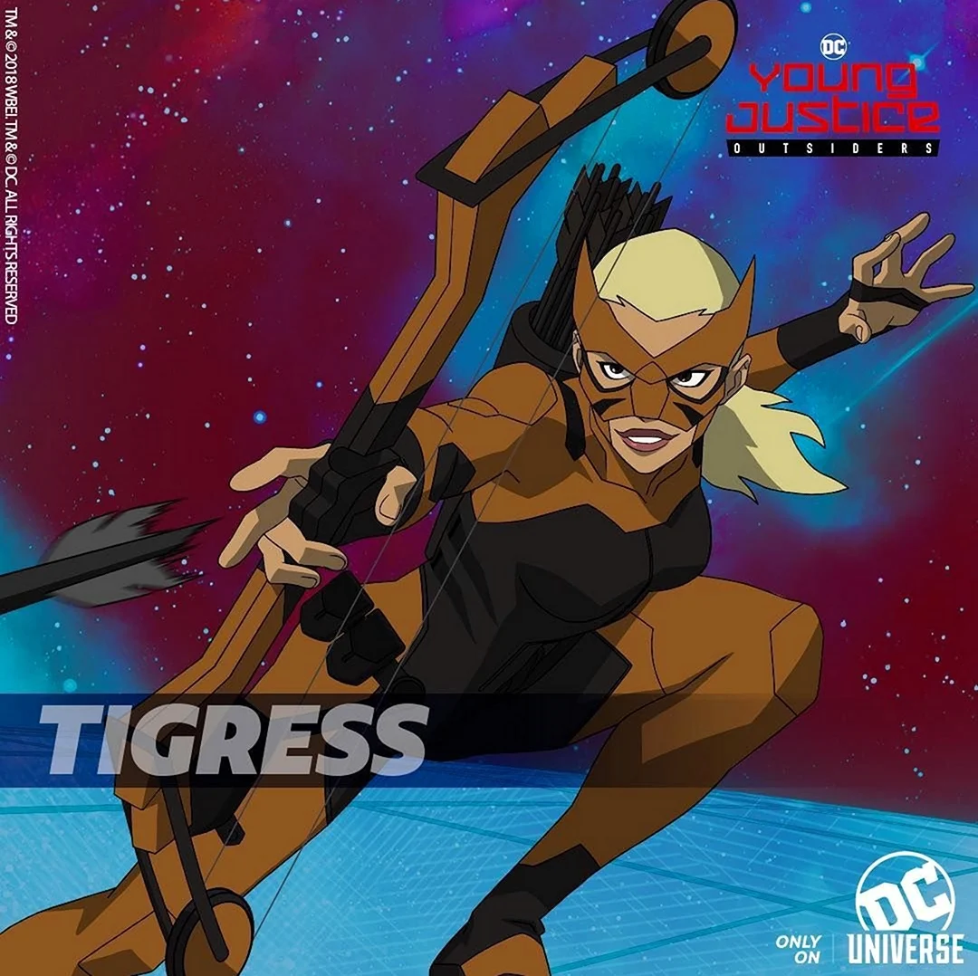 Young Justice Tigress Phantoms. Картинка из мультфильма