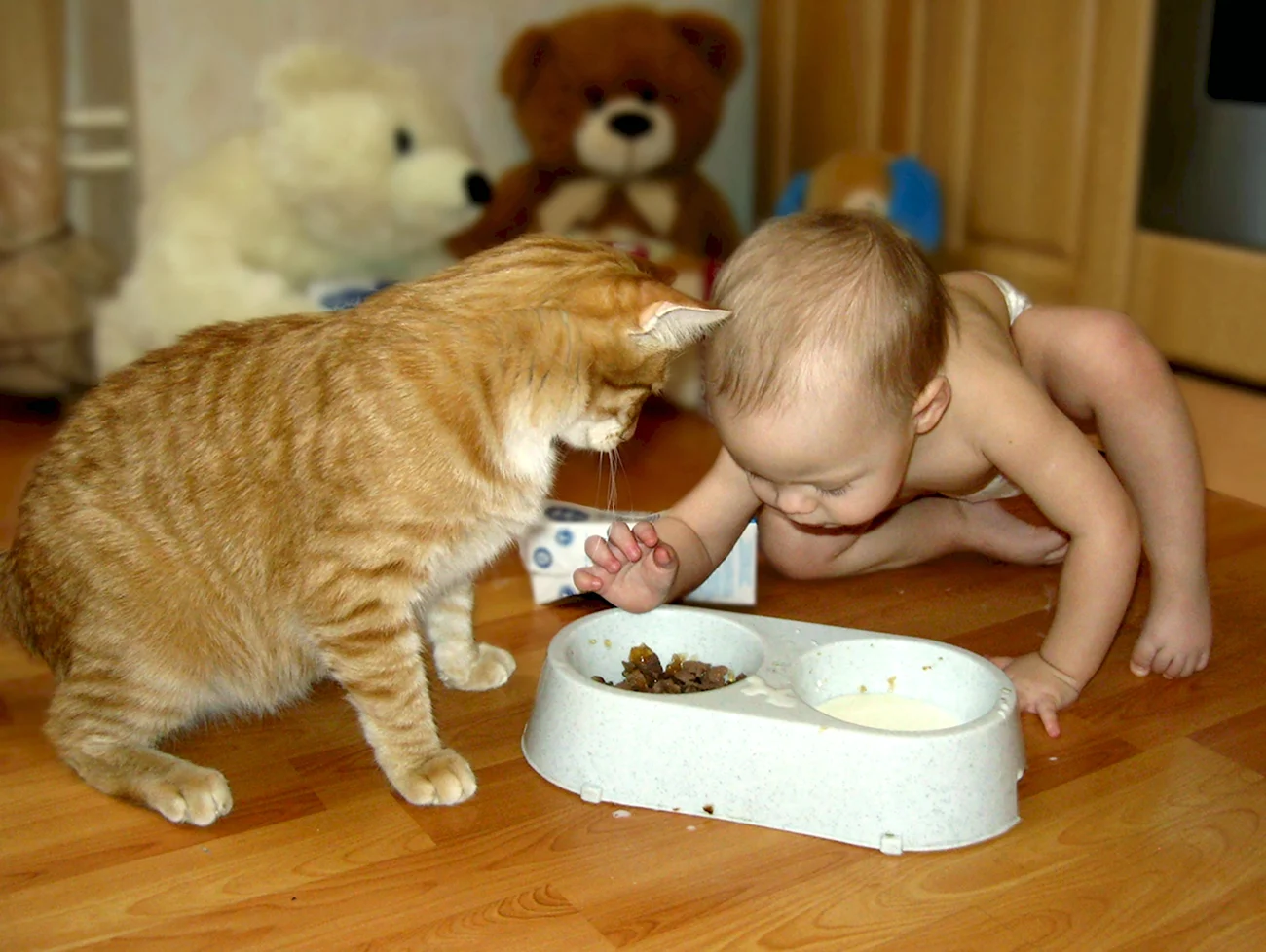 Забавные дети и коты едят. Прикольная картинка